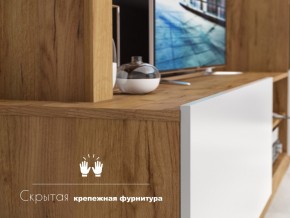 Гостиная Флекс в Юрюзани - yuryuzan.magazinmebel.ru | фото - изображение 4